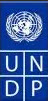 لوگوی UNDP